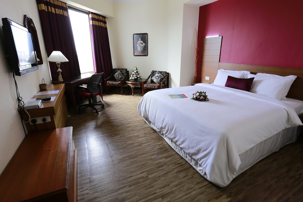 Suite - Photo 1
