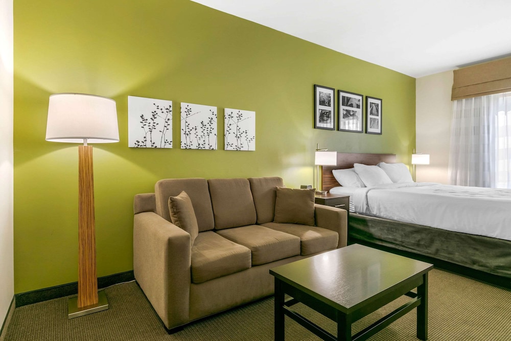 Suite, 1 King Bed with Sofa bed, Non Smoking photo 3
