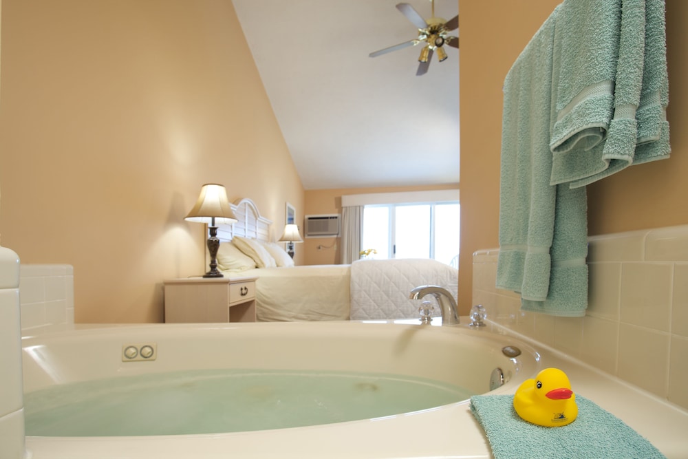 Studio, 2 Queen Beds, Accessible, Bay View photo 2