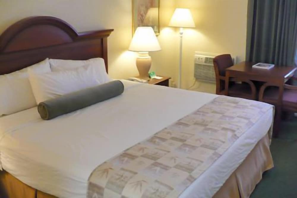 Suite, 1 King Bed, Non Smoking (One-Bedroom)