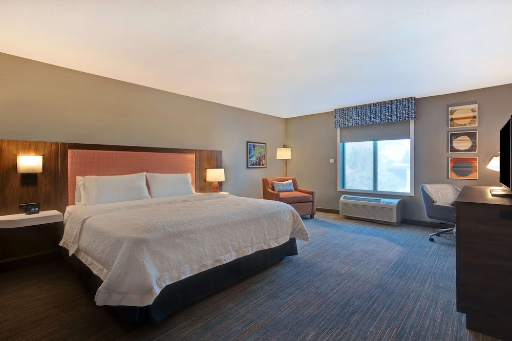 Room, 1 King Bed, Accessible, Non Smoking (Roll-in Shower) - Photo 1
