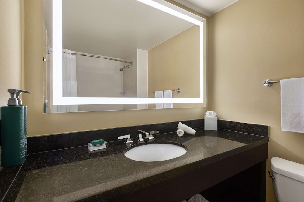 Suite, 1 Bedroom, Pool View - Photo 6