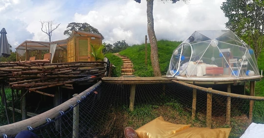 Glamping Y photo 2