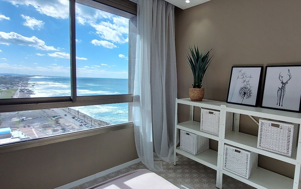 Design Suite photo 2