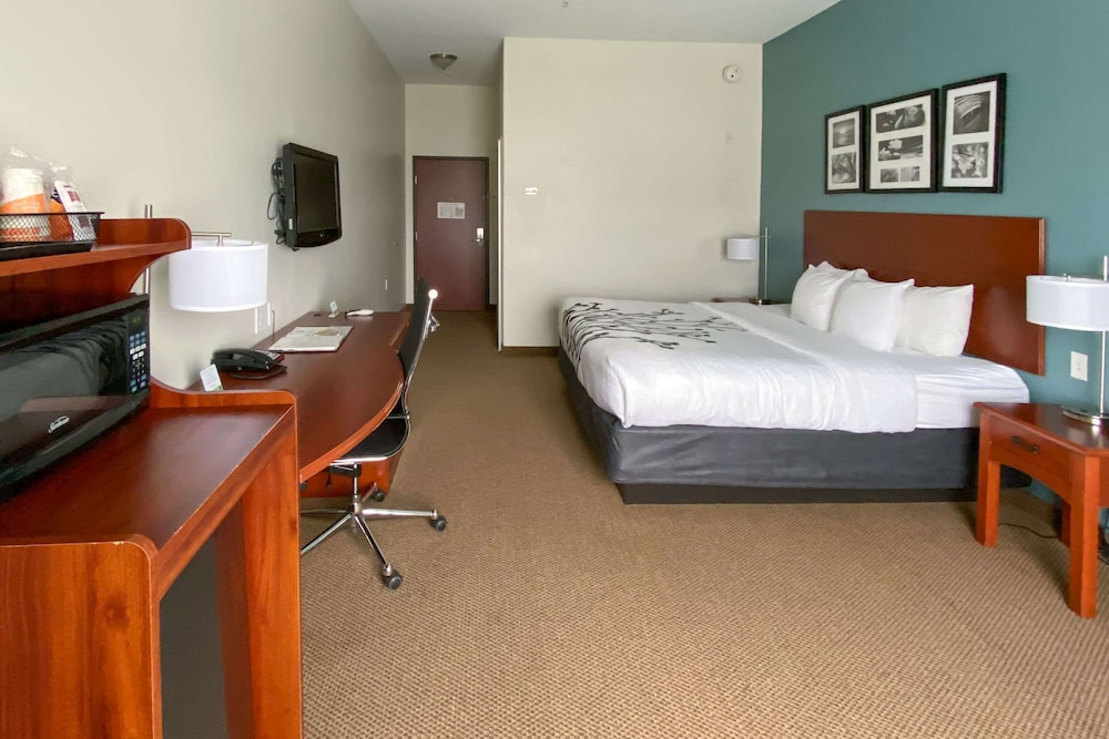 Suite, 1 King Bed with Sofa bed, Accessible, Non Smoking - Photo 3