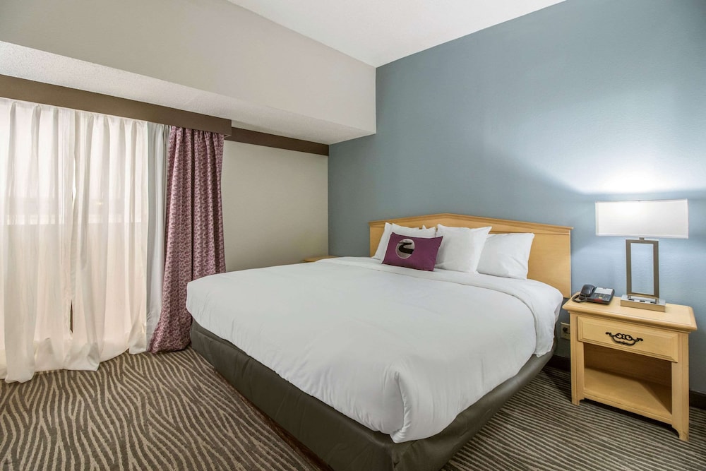 Suite, 1 Kind Bed with Sofa bed, Non Smoking