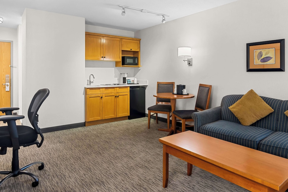 Suite, 1 King Bed, Non Smoking, Kitchenette (with Sofabed) photo 1