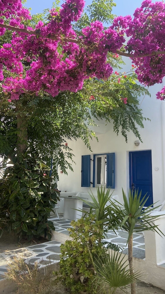 Deluxe Double or Twin Room, Garden View - Photo 11