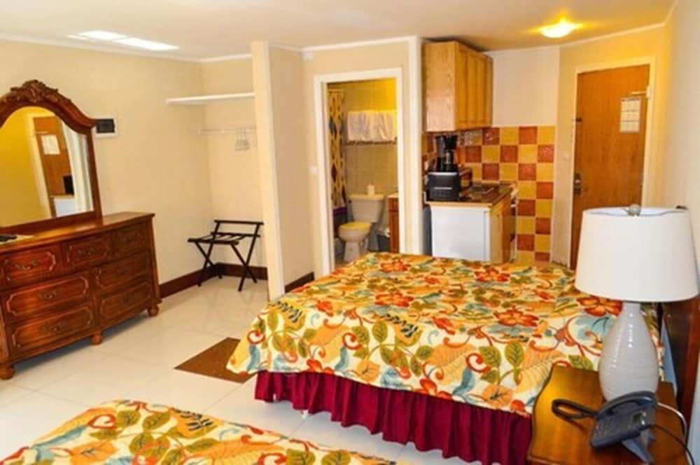 Deluxe Studio, 2 Double Beds photo 3