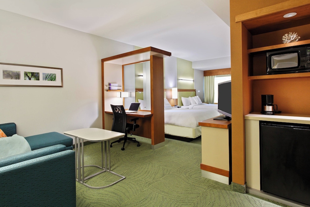 Studio, Multiple Beds (Mobility/Hearing Access, Roll-in Shwr) photo 1