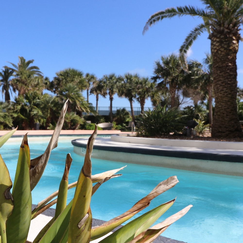 Have a Dream Vacation at High Tide, Billede 61