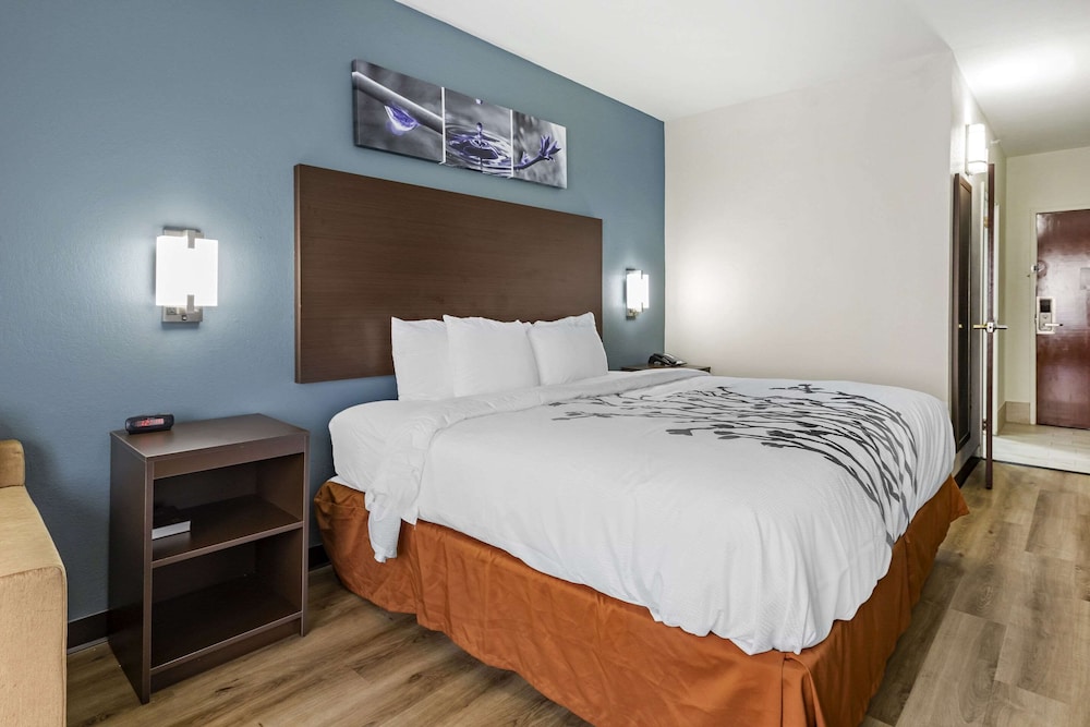 Room, 1 King Bed, Accessible, Non Smoking - Photo 3