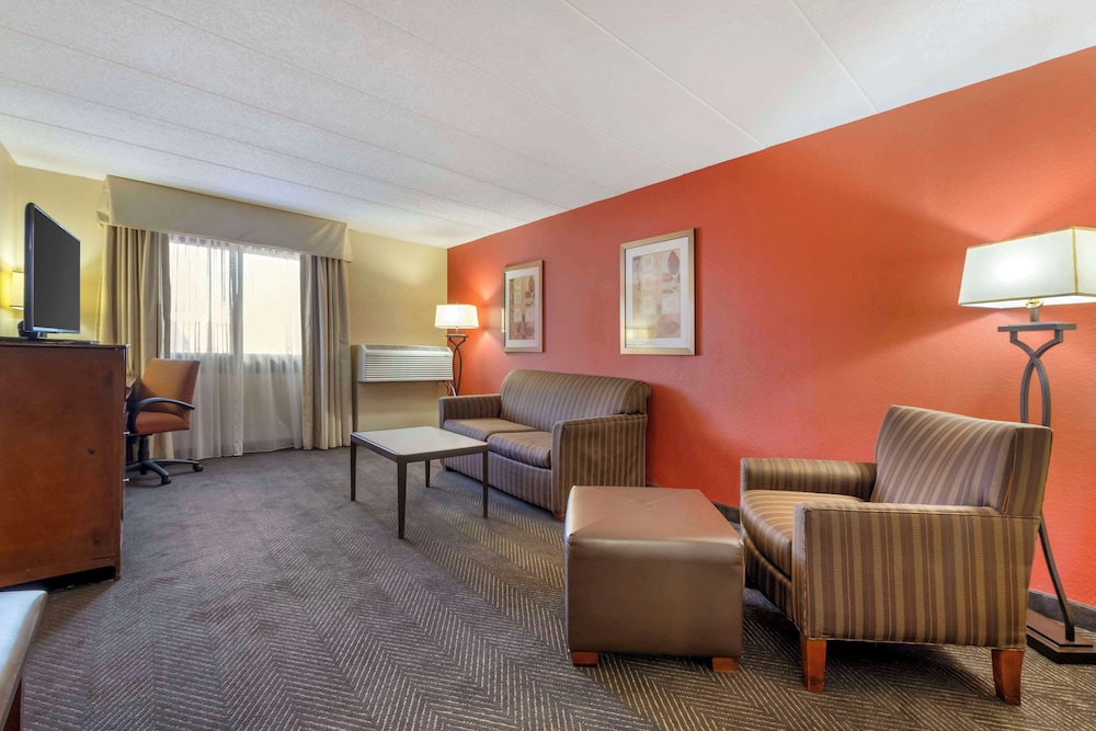 Suite, 1 King Bed, Non Smoking, Refrigerator & Microwave (with Sofabed) - Photo 3