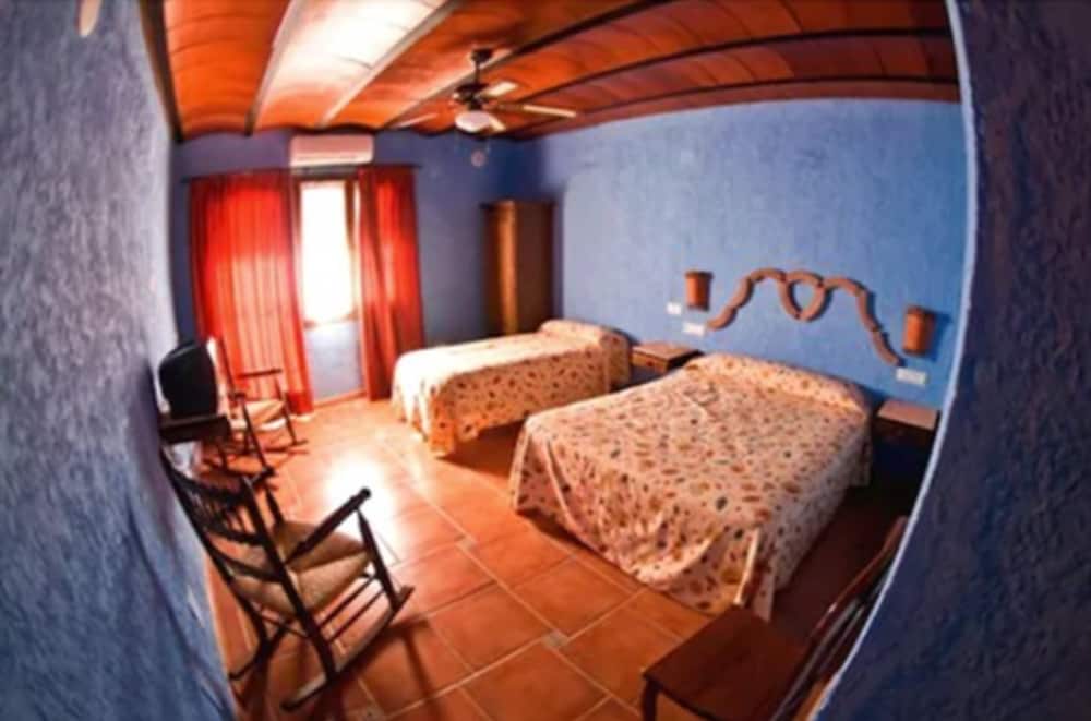 Triple Room, Park View