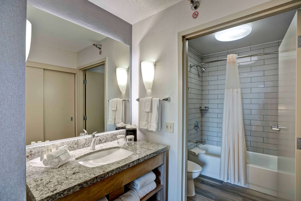 Premium Suite, 1 King Bed, Accessible, Bathtub - Photo 7