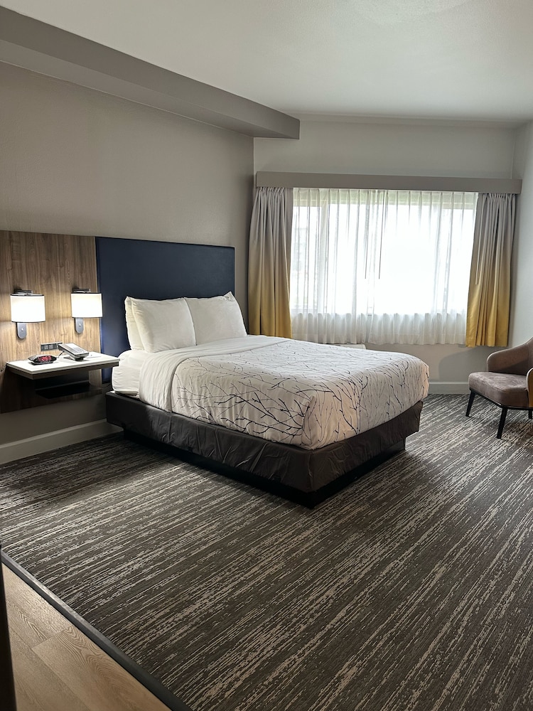 Standard Room, 1 King Bed, Kitchenette, Pool View (Shower Only)