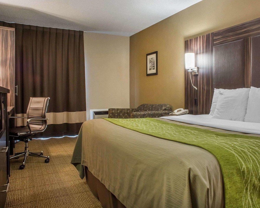 Standard Room, 1 King Bed, Non Smoking (No Pets Allowed) - Photo 3