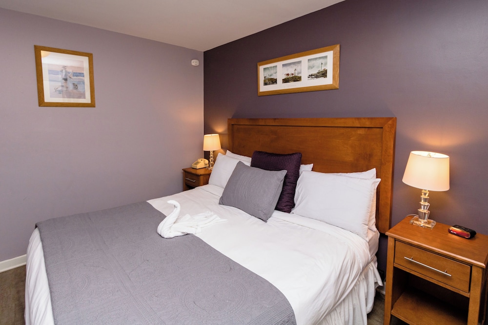 Traditional Studio, 1 King Bed photo 1