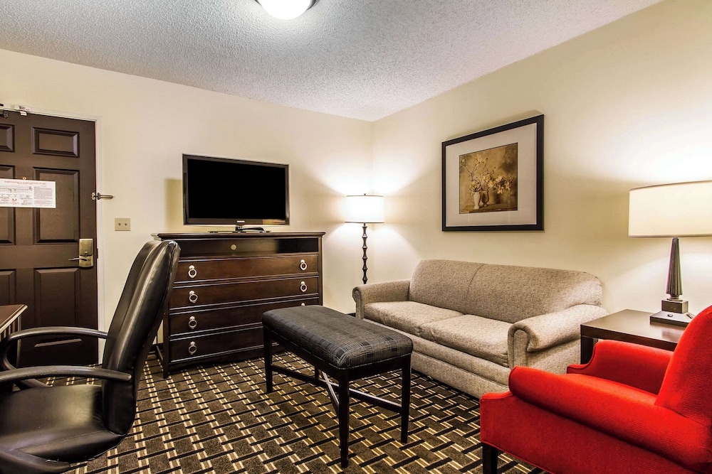 Suite, 1 King Bed with Sofa bed, Accessible, Non Smoking - Photo 1