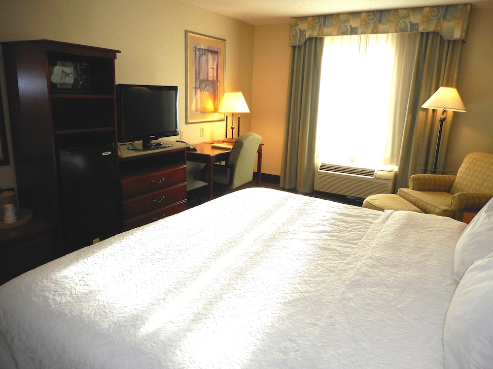 Room, 1 King Bed, Accessible, Non Smoking - Photo 4