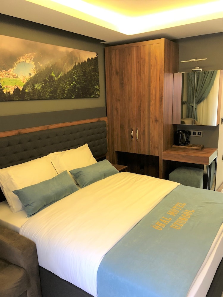 Superior Double Room with Mountain View photo 3