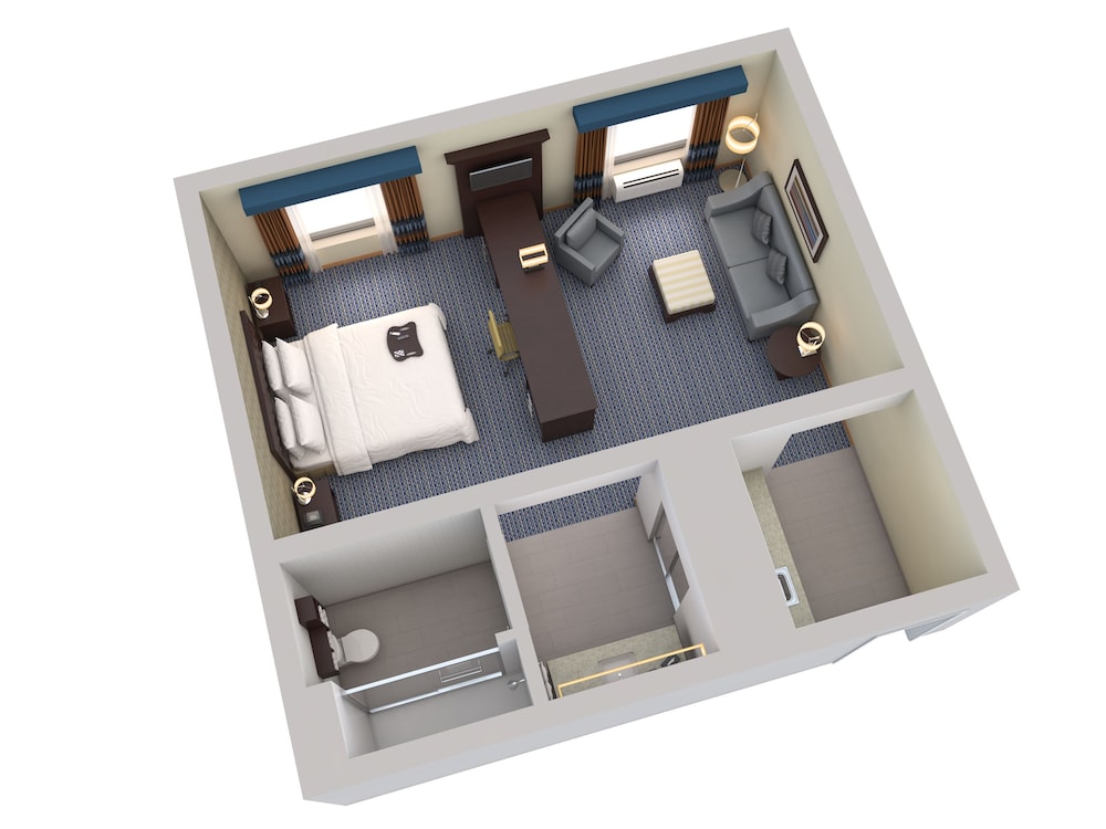 Studio, 1 King Bed, Accessible (Mobility & Hearing, Roll-in Shower)
