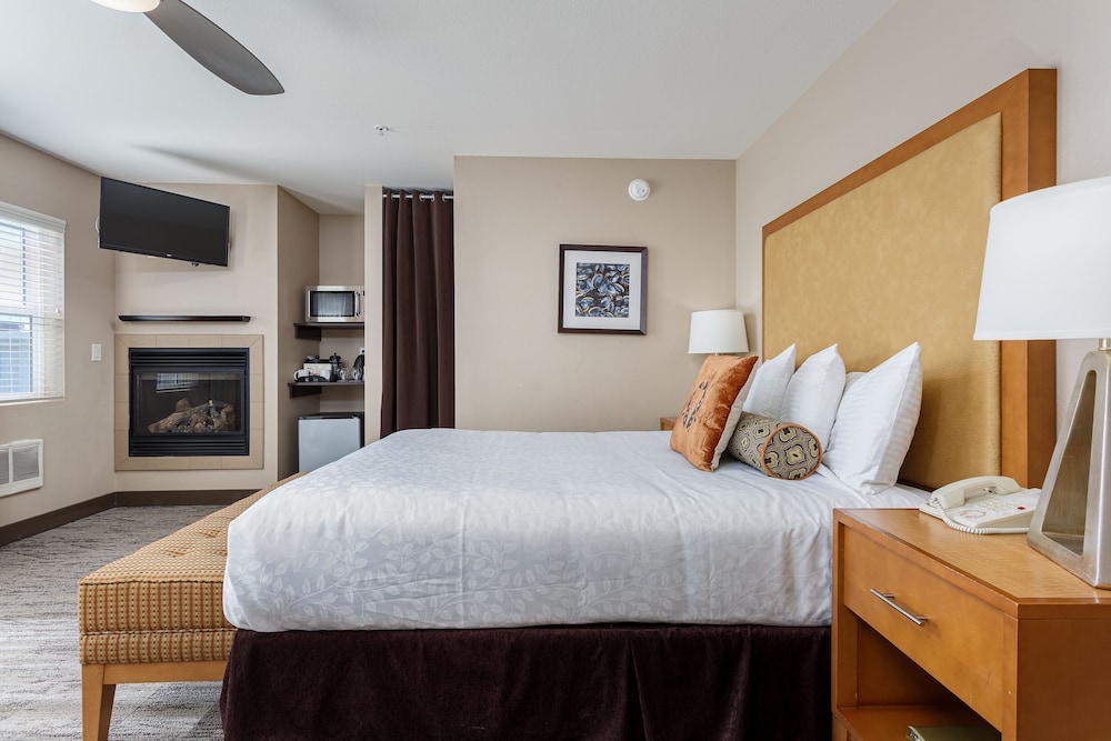 Deluxe Room, 1 Queen Bed, Fireplace, Park View photo 3