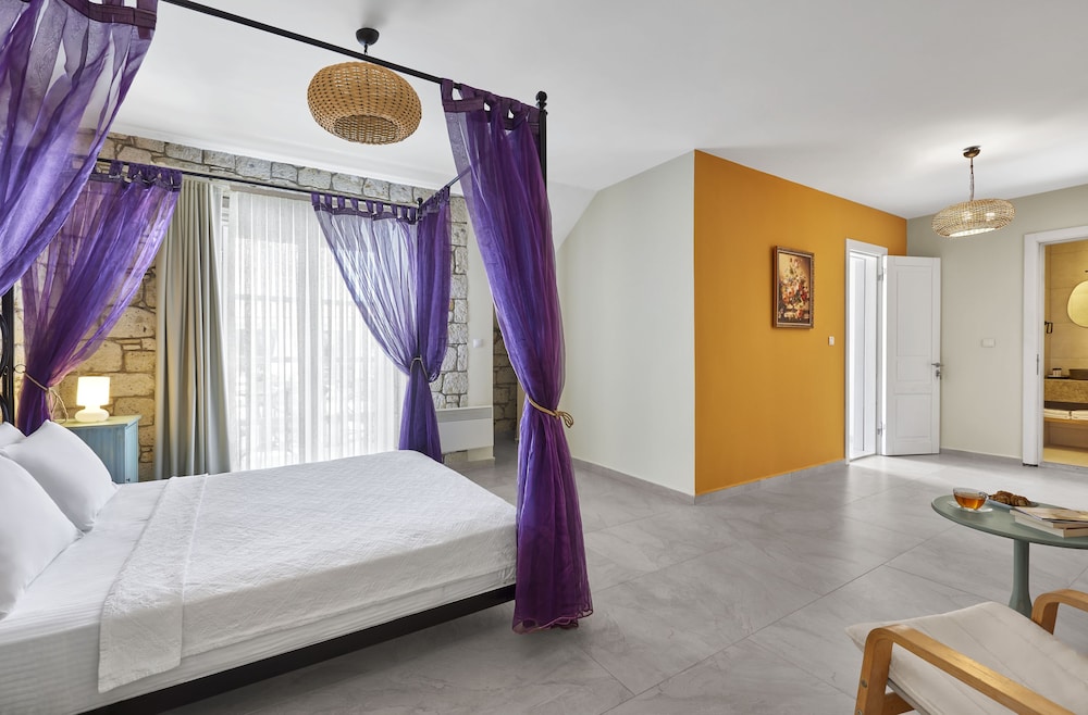 Deluxe Room - Photo 1