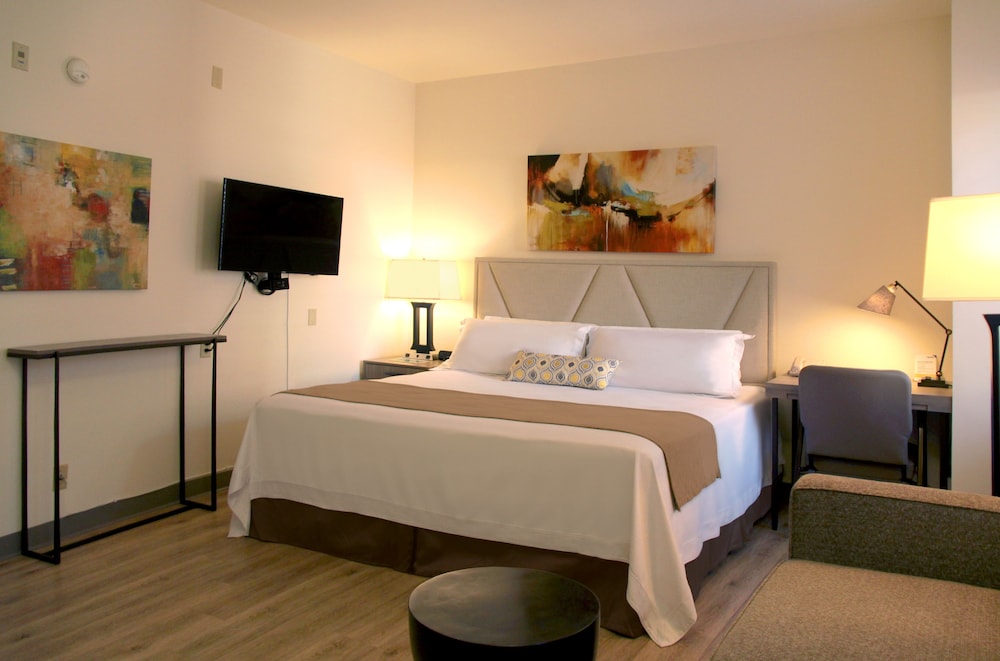 Deluxe Room, 1 King Bed, Accessible, Refrigerator & Microwave photo 2