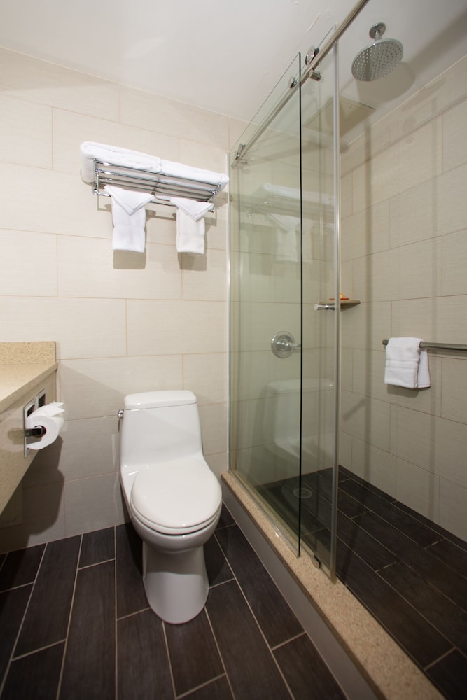 Superior Single Room, 1 King Bed photo 3