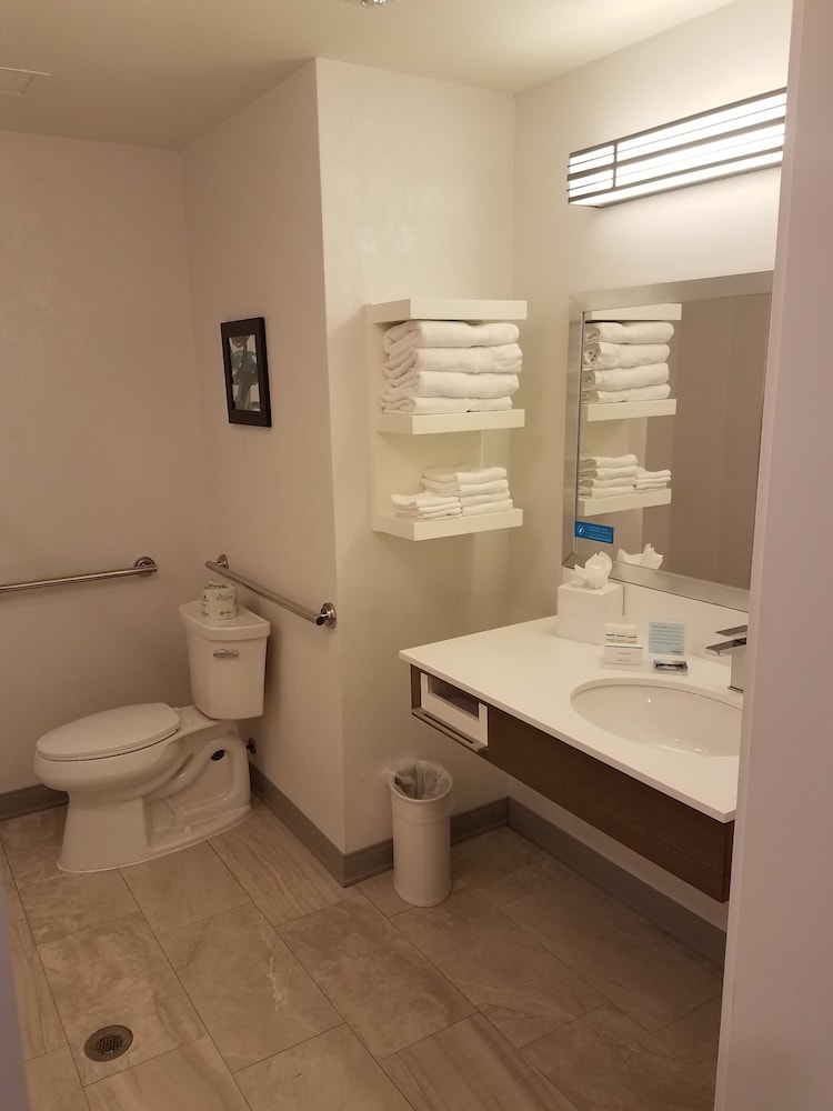 Room, 1 King Bed, Accessible, Non Smoking (Roll In Shower)
