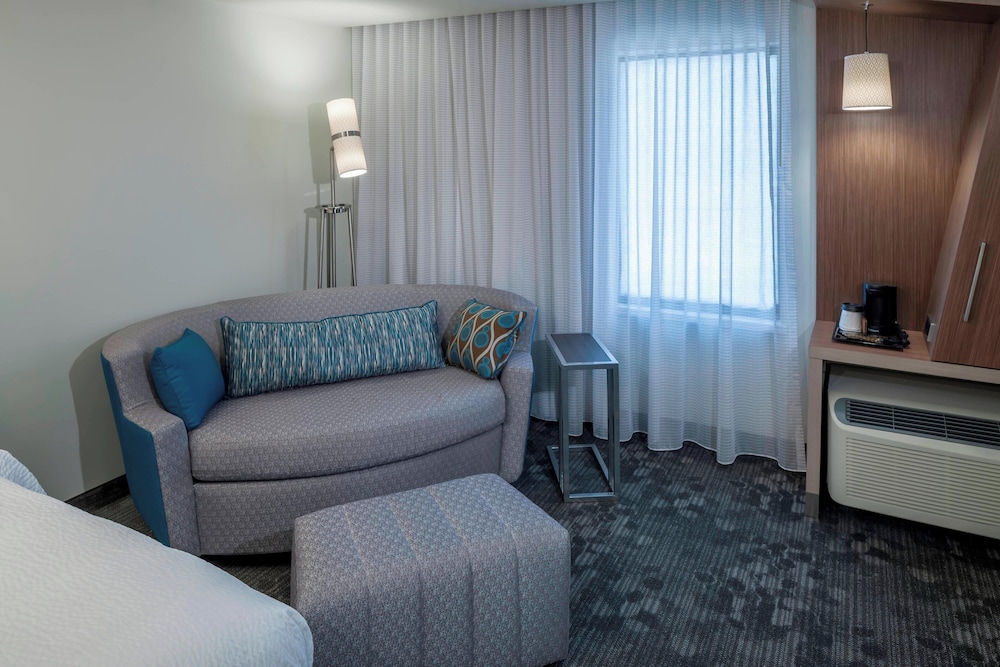 Room, 1 King Bed with Sofa bed (Mobility Accessible, Roll-in Shower)