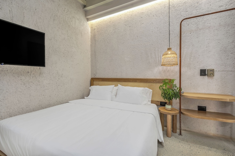 Basic Studio Suite (305)