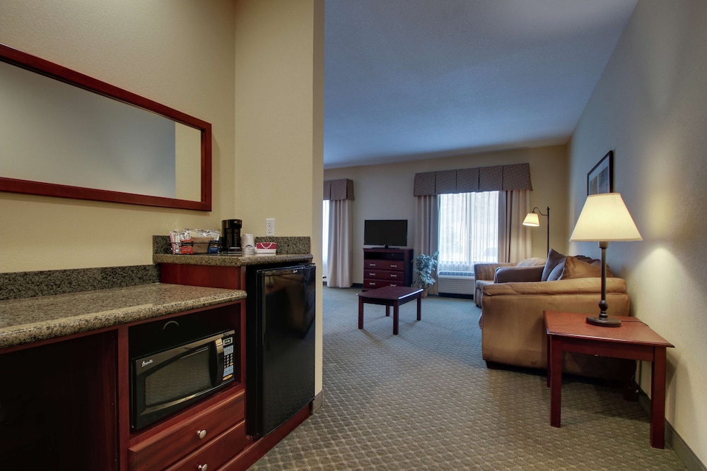 Studio, 1 King Bed, Accessible, Non Smoking (Mobility & Hearing, Roll-in Shower) - Photo 4