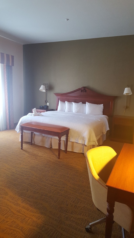 Studio, 1 King Bed, Accessible, Non Smoking - Photo 4