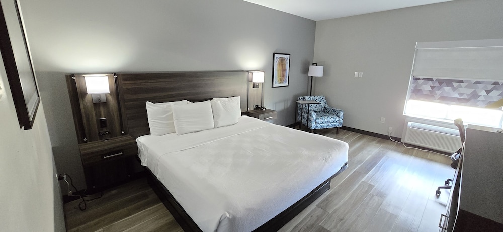 Room, 1 King Bed, Non Smoking photo 1