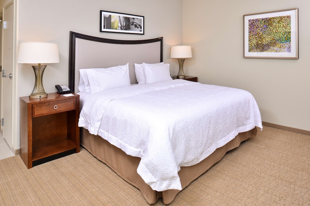 Room, 1 King Bed, Refrigerator at Hampton Inn & Suites Orlando/Downtown South - Medical Center in Orlando