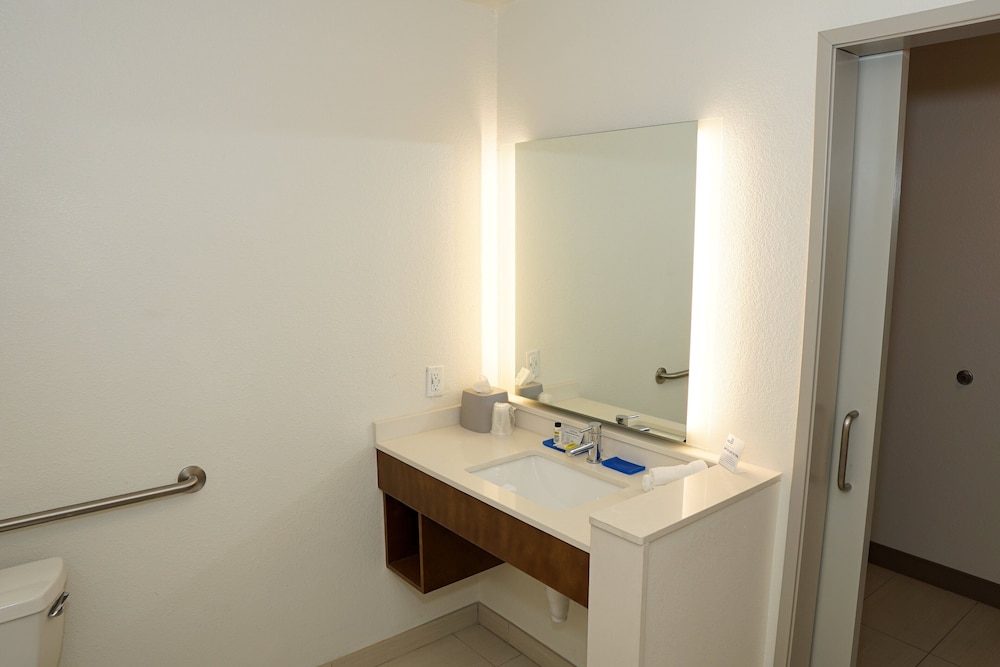 Room, 1 King Bed, Roll-in Shower (Communications, Roll-In Shower) photo 3