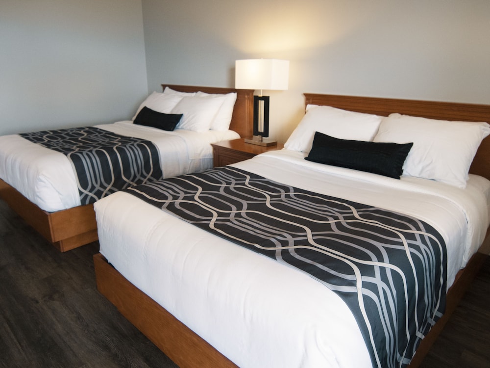 Superior Room, 2 Double Beds photo 2
