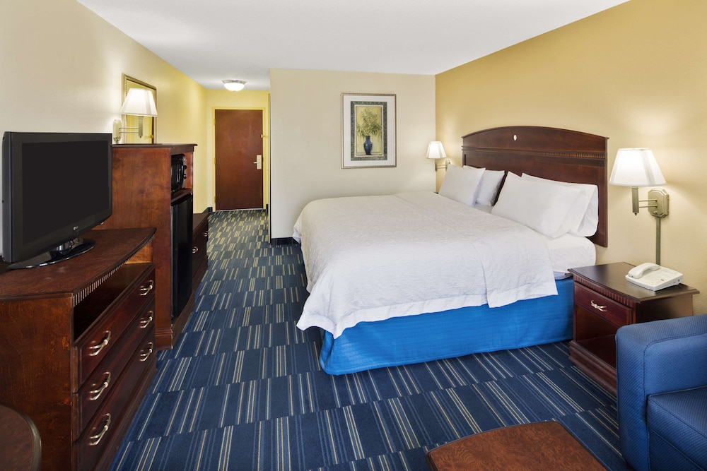 Room, 1 King Bed, Accessible - Photo 3