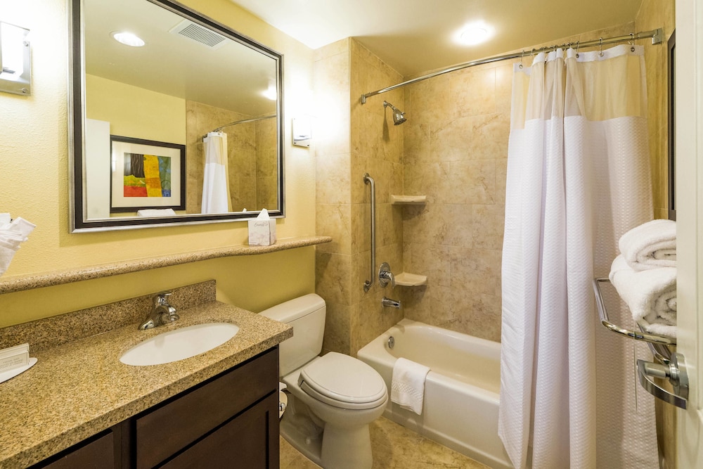 Studio Suite, 1 King Bed with Sofa bed