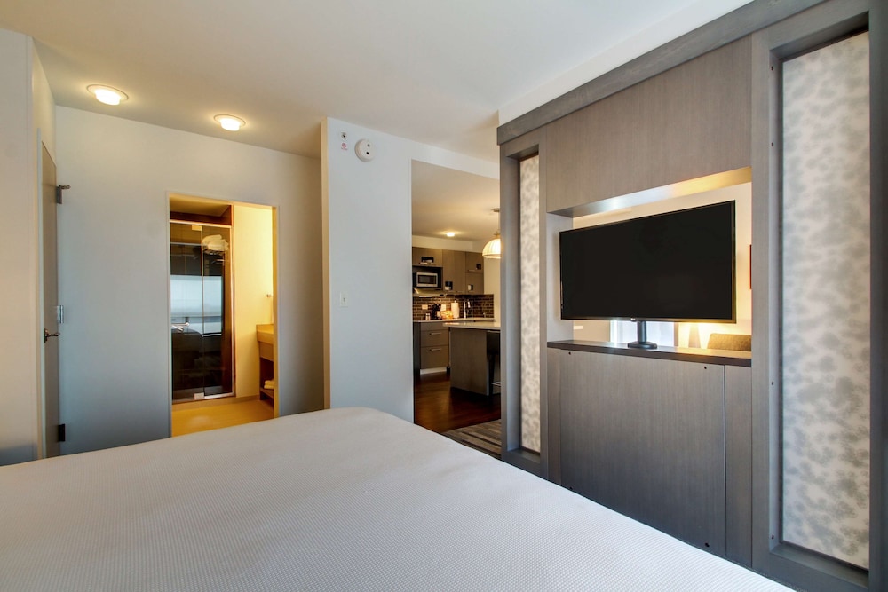 Studio Suite, 1 King Bed photo 3