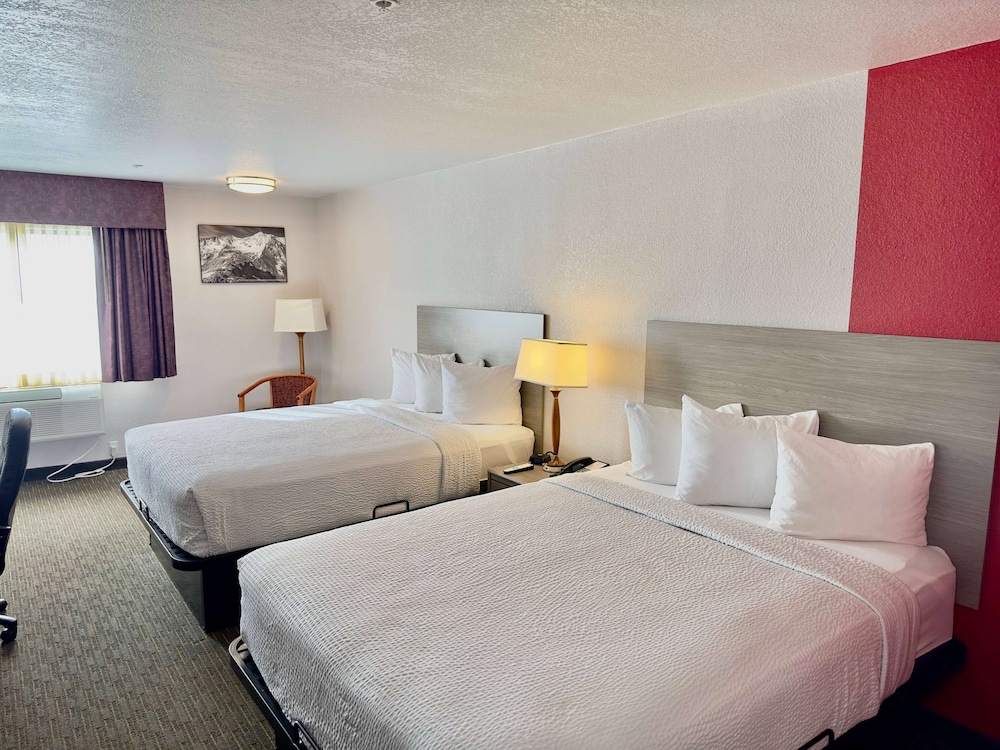 Suite, 1 Bedroom, Non Smoking