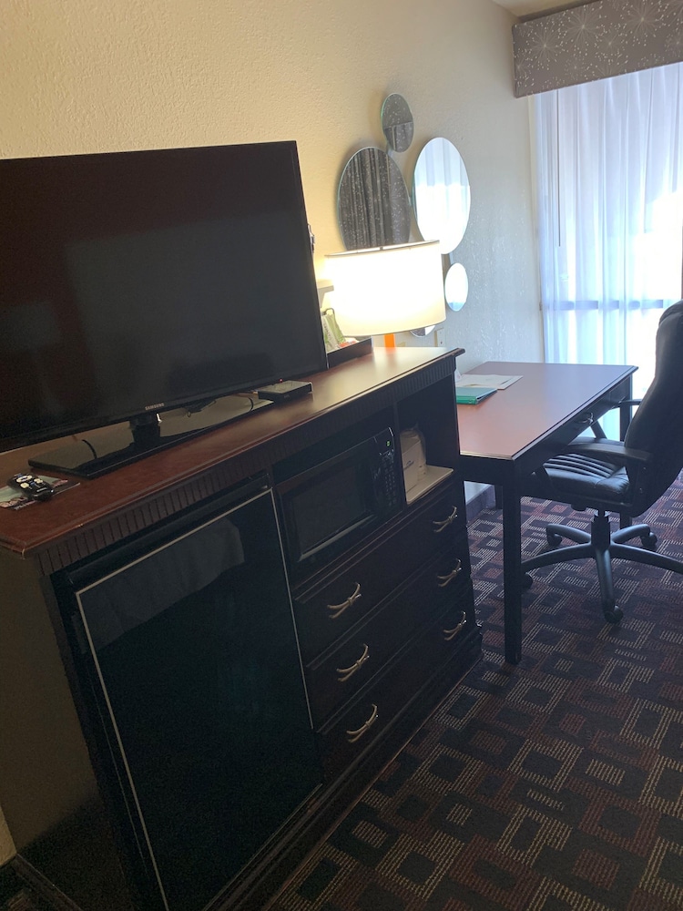 Studio Suite, 1 King Bed, Non Smoking photo 3