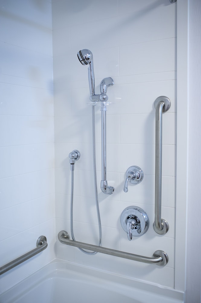 Room, 1 King Bed, Accessible, Non Smoking (Roll In Shower) photo 3