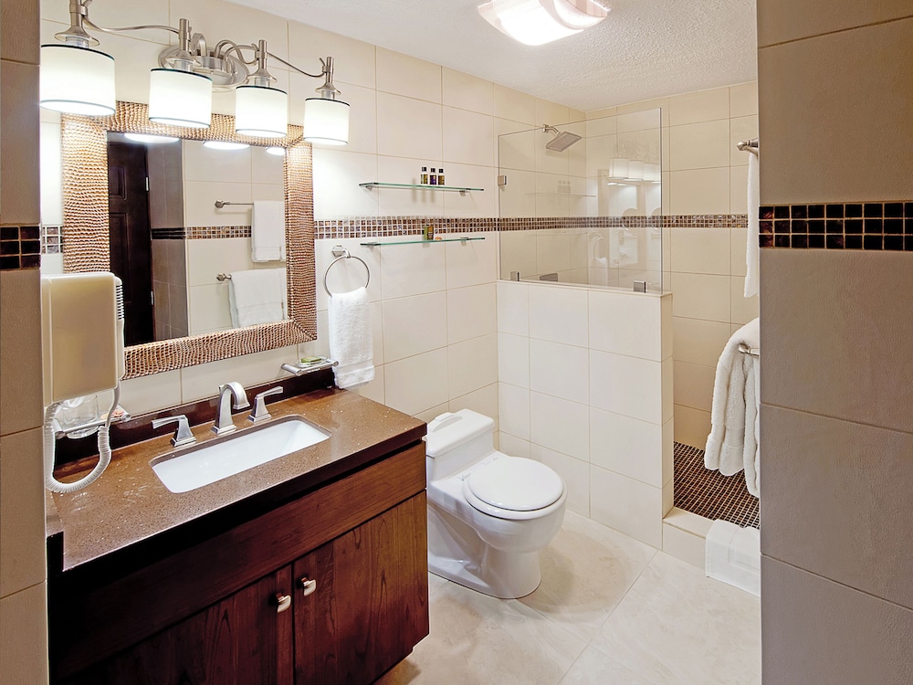 Deluxe Studio Plus With Fully Equipped Kitchen