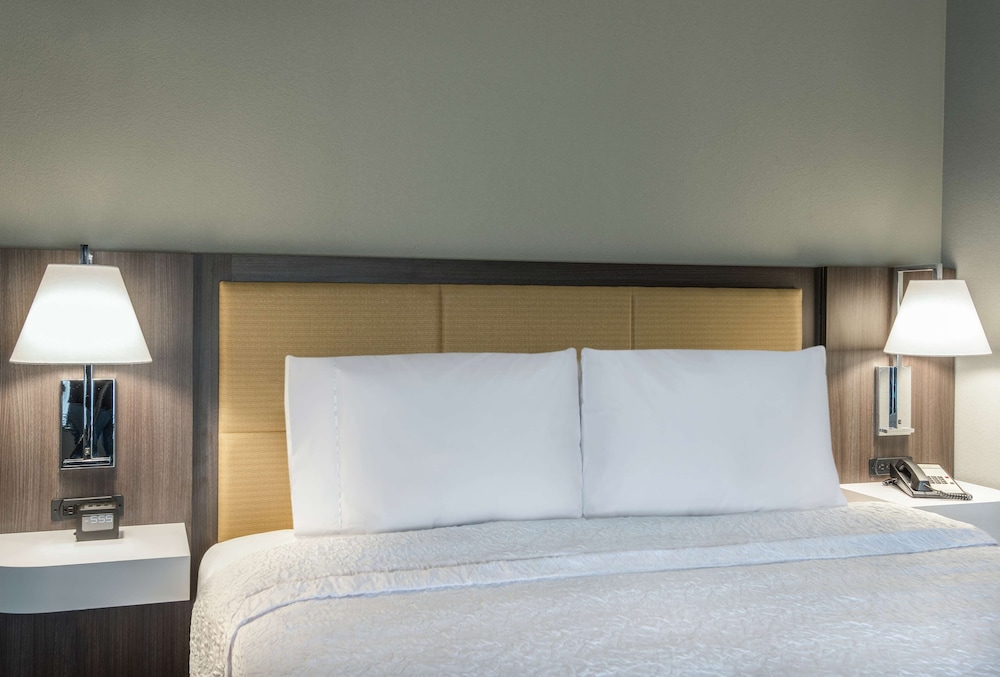 Room, 1 King Bed, Accessible, Bathtub photo 3