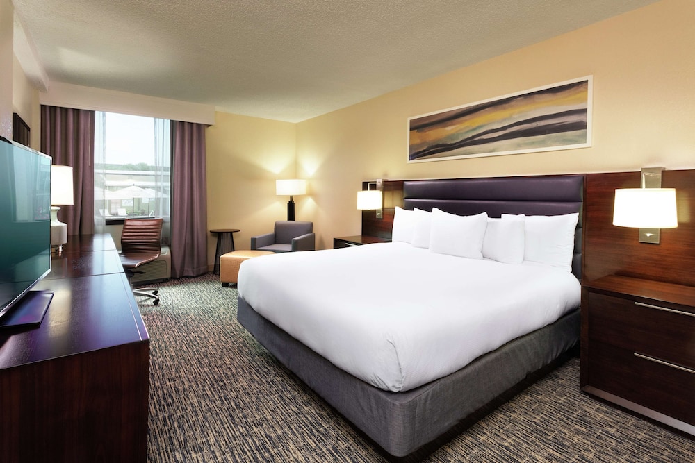 Room, 1 King Bed