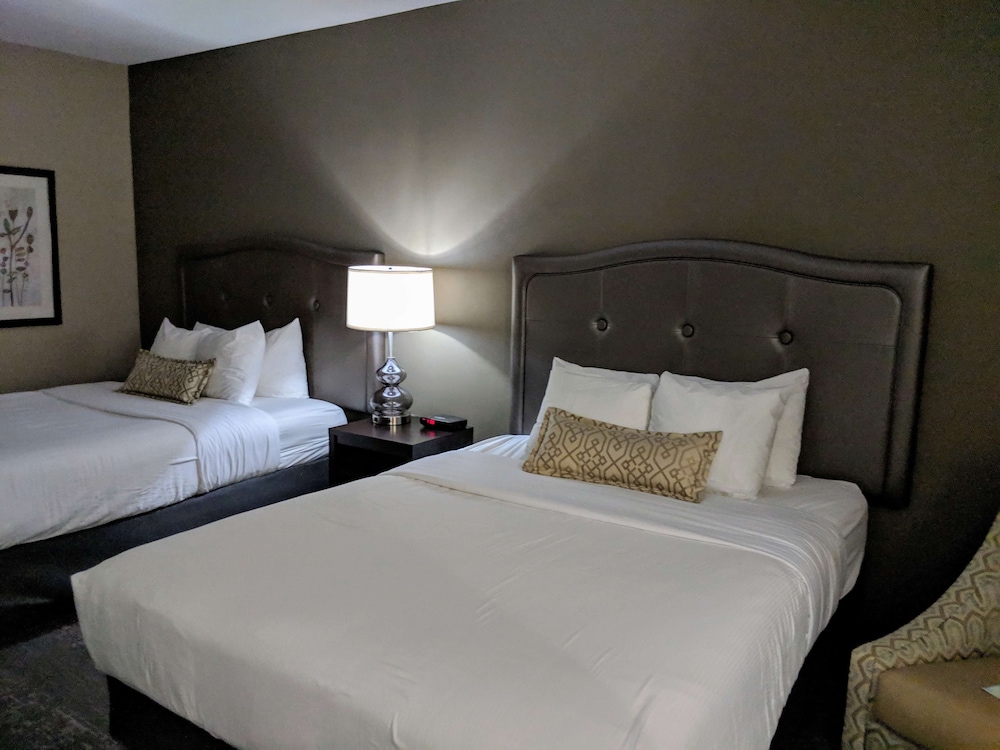 Standard Room, 2 Queen Beds, Non Smoking, Refrigerator & Microwave (Pet Friendly) photo 1