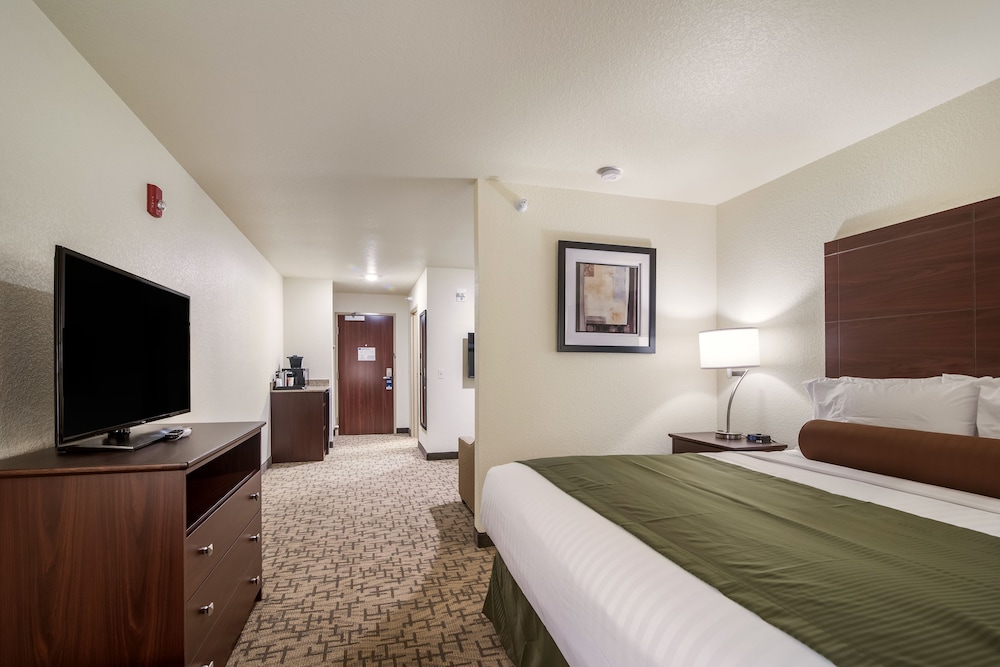 Studio Suite, 1 King Bed with Sofa bed, Accessible, Non Smoking photo 2